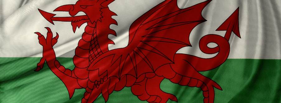 A picture containing indoor, bed, blanket

Description automatically generated