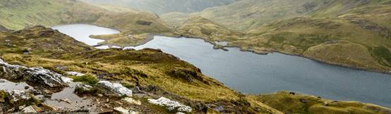 A close up of a hillside

Description automatically generated